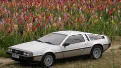 Flowers cars delorean dmc-12