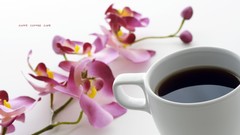 Flowers coffee beverages white