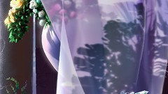 Flowers curtains vines shadows Kagaya Yutaka flowerpot 