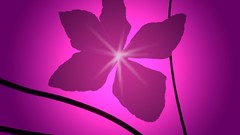 Flowers design clematis