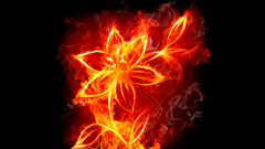 Flowers fire