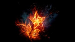 Flowers fire Photo manipulation