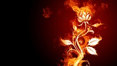 Flowers flames fire flower burn