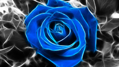 Flowers Fractalius selective coloring