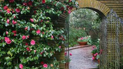 Flowers Garden California estate Woodland