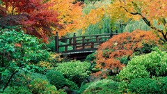 Flowers Garden Oregon Portland Japanese Washington