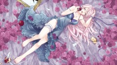 Flowers glass apples roses broken dress Ribbons tongue fruits 