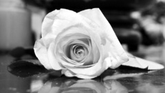 Flowers glass grayscale flower