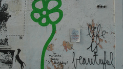 Flowers graffiti inspirational