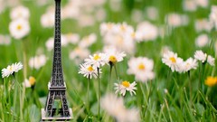 Flowers grass Eiffel Tower scale models