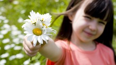 Flowers happiness children Daisy white flowers romantic little 