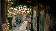 Flowers Italy streets old buildings motorbikes cobblestone road