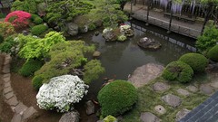 Flowers Japan spring cherry blossoms ponds Japanese gardens