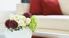 Flowers leaves design interior vase dahlias