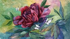 Flowers leaves nature Butterflies watercolor paintings peony 