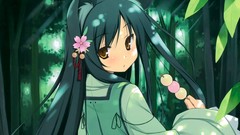 Flowers leaves nature Trees Green food Plants long hair yellow 