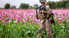 Flowers Men weapons Guns heroin Poppies soldiers farm military 