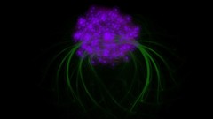 Flowers Michael Plaster