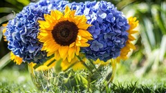Flowers nature grass Sunflowers Hydrangeas