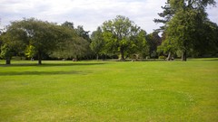 Flowers nature London Parks Queen Mary's Gardens