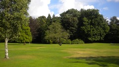 Flowers nature London Parks Queen Mary's Gardens