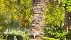 Flowers nature London Parks Queen Mary's Gardens