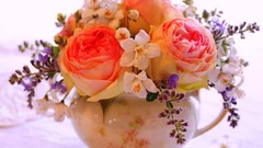 Flowers nature pink roses bouquet vase colors blossoms
