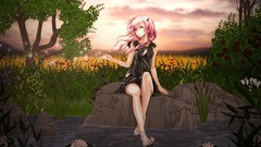 Flowers nature Trees water clouds Plants dress Water Lilies red 