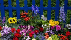 Flowers nature Washington picket fence