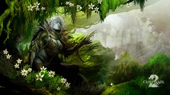 Flowers nature woman guild wars guild wars 2 forests artwork 