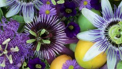 Flowers passion flowers