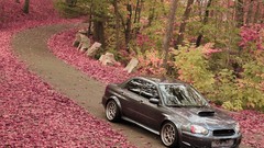 Flowers pink purple Park subaru impreza wrx Subaru WRX STI