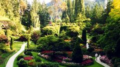 Flowers Plants Garden jardin forrest 1024x768