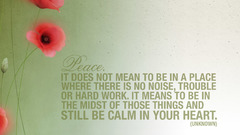 Flowers Quotes peace Poppies