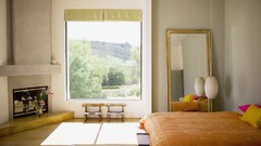 Flowers room beds window