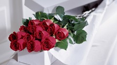 Flowers roses boxes red roses
