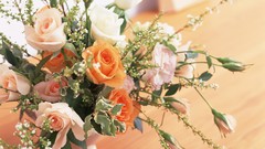 Flowers roses lifestyle