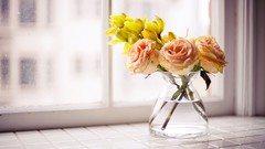 Flowers roses vase windowsill yellow flowers