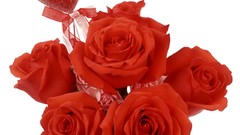 Flowers roses white background Hearts red rose red flowers