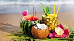 Flowers sand nature coconut watermelons fruits tropical 
