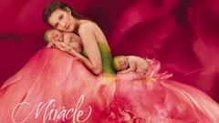 Flowers sleeping babies celine dion Anne Geddes