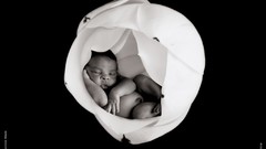 Flowers sleeping black background babies grayscale Anne Geddes