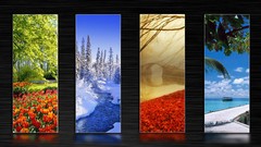 Flowers snow winter clouds seasons summer autumn tulips dock 