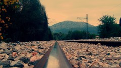 Flowers stones Mountains Army Flower wall rocks railroad tracks 