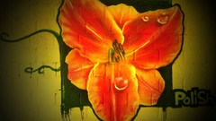 Flowers street art graffiti art