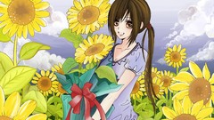 Flowers Sunflowers woman Anime brunettes vampire knight yuki 