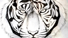 Flowers Tigers mermaids draws edited Sketchbook Komodo dragons 