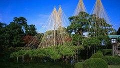 Flowers Trees water Japan Japanese gardens