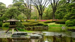 Flowers Trees water Japan spring Japanese gardens