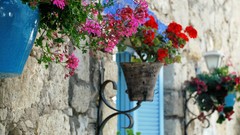 Flowers Turkey Izmir Alacati